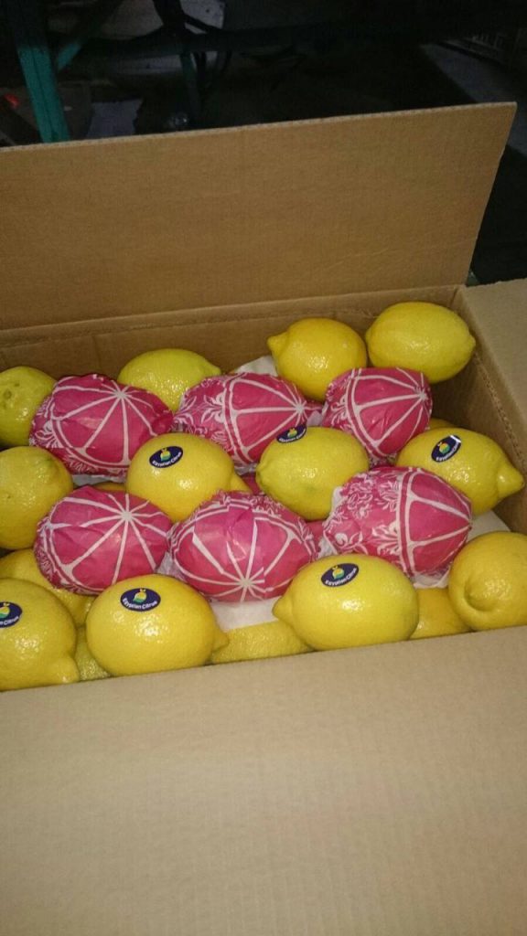Lemon Eltayseer For Import & Export