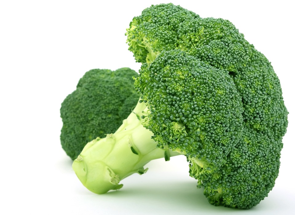 broccoli Eltayseer For Import & Export