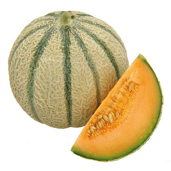 melon Eltayseer For Import & Export