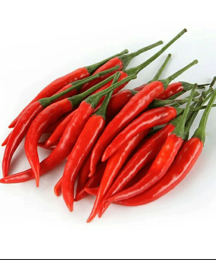 red chili pepper Eltayseer For Import & Export
